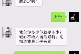 沈阳企业清欠服务